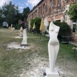 IMG-0310-1